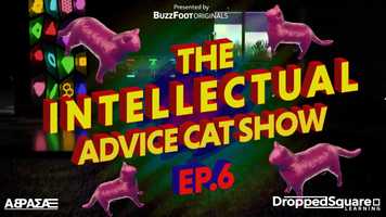 Free download Intellectual Advice Cat Episode 6: Alchemy! video and edit with RedcoolMedia movie maker MovieStudio video editor online and AudioStudio audio editor onlin