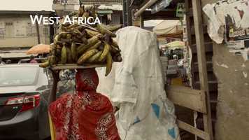 Free download International Trailer Draft video and edit with RedcoolMedia movie maker MovieStudio video editor online and AudioStudio audio editor onlin