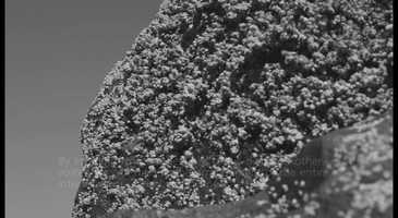 Free download Intertidal Room - A soundwalk through timescapes of Vancouvers coastline video and edit with RedcoolMedia movie maker MovieStudio video editor online and AudioStudio audio editor onlin