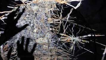 Free download INTERVAL I video and edit with RedcoolMedia movie maker MovieStudio video editor online and AudioStudio audio editor onlin