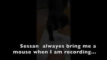 Free download In the bar ! video and edit with RedcoolMedia movie maker MovieStudio video editor online and AudioStudio audio editor onlin