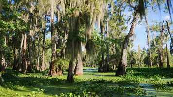 Free download In The Way of Grace Trailer video and edit with RedcoolMedia movie maker MovieStudio video editor online and AudioStudio audio editor onlin