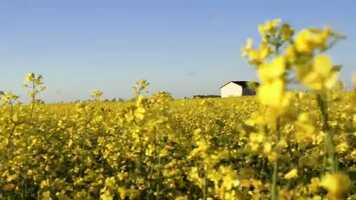 Free download intimités francophones deux | bande annonce (Saskatchewan, Canada) video and edit with RedcoolMedia movie maker MovieStudio video editor online and AudioStudio audio editor onlin