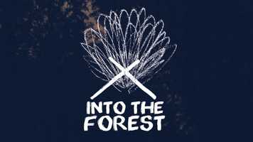 Free download INTO THE FOREST - DEC 21 video and edit with RedcoolMedia movie maker MovieStudio video editor online and AudioStudio audio editor onlin