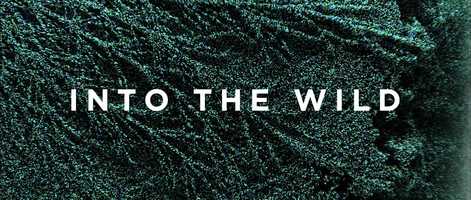 Free download Into The Wild - New Opening Titles video and edit with RedcoolMedia movie maker MovieStudio video editor online and AudioStudio audio editor onlin