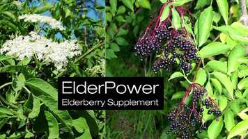 Free download Introducing ElderPower Elderberry Supplement on Advanced Medicine Exchange(AMeX) video and edit with RedcoolMedia movie maker MovieStudio video editor online and AudioStudio audio editor onlin