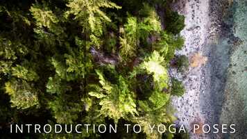Free download Introduction To Yoga Poses video and edit with RedcoolMedia movie maker MovieStudio video editor online and AudioStudio audio editor onlin