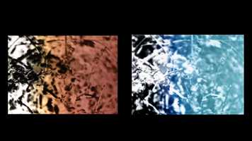 Free download Intro to 16mm Filmmaking and Hand-Processing workshop 3.14.2020 video and edit with RedcoolMedia movie maker MovieStudio video editor online and AudioStudio audio editor onlin