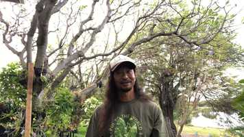 Free download Intro to Qtr 4 video and edit with RedcoolMedia movie maker MovieStudio video editor online and AudioStudio audio editor onlin