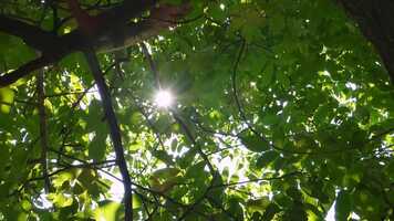 Free download INVICTUS - A Poem To Empower You... Vibrational Medicine video and edit with RedcoolMedia movie maker MovieStudio video editor online and AudioStudio audio editor onlin