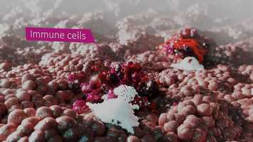 Free download Invion 2020 Mechanism of Action Film video and edit with RedcoolMedia movie maker MovieStudio video editor online and AudioStudio audio editor onlin