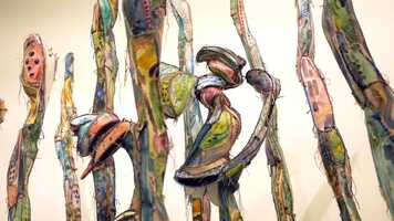 Free download Invitation to the Marriage of Sea and Grass video and edit with RedcoolMedia movie maker MovieStudio video editor online and AudioStudio audio editor onlin