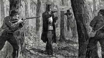 Free download Iron Bark video and edit with RedcoolMedia movie maker MovieStudio video editor online and AudioStudio audio editor onlin