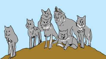 Free download Island of the Blue Dolphins Trailer video and edit with RedcoolMedia movie maker MovieStudio video editor online and AudioStudio audio editor onlin