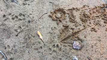 Free download Isolation Cycle 8; April 2020 video and edit with RedcoolMedia movie maker MovieStudio video editor online and AudioStudio audio editor onlin