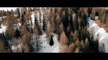 Free download ITALIA video and edit with RedcoolMedia movie maker MovieStudio video editor online and AudioStudio audio editor onlin