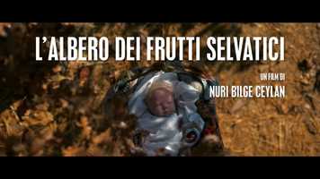 Free download italian trailer video and edit with RedcoolMedia movie maker MovieStudio video editor online and AudioStudio audio editor onlin