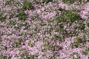 Free download It Happens So Quick video and edit with RedcoolMedia movie maker MovieStudio video editor online and AudioStudio audio editor onlin