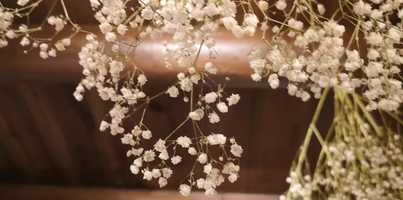 Free download I thought I know video and edit with RedcoolMedia movie maker MovieStudio video editor online and AudioStudio audio editor onlin