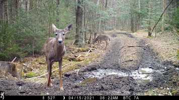 Free download It must be spring!.mp4 video and edit with RedcoolMedia movie maker MovieStudio video editor online and AudioStudio audio editor onlin