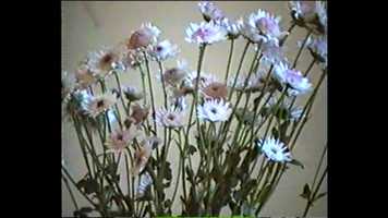 Free download ITS ALL THE SAME NOW video and edit with RedcoolMedia movie maker MovieStudio video editor online and AudioStudio audio editor onlin