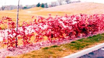 Free download Its Just A Dream video and edit with RedcoolMedia movie maker MovieStudio video editor online and AudioStudio audio editor onlin