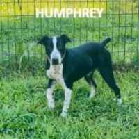 Free download Its So Easy - Linda Ronstadt Canine Collectives adoptions Sept. 1st-7th video and edit with RedcoolMedia movie maker MovieStudio video editor online and AudioStudio audio editor onlin