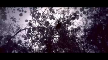 Free download I, Useless - Reverse video and edit with RedcoolMedia movie maker MovieStudio video editor online and AudioStudio audio editor onlin