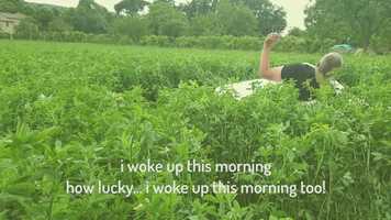 Free download I woke up video and edit with RedcoolMedia movie maker MovieStudio video editor online and AudioStudio audio editor onlin