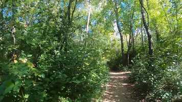 Free download I Worried video and edit with RedcoolMedia movie maker MovieStudio video editor online and AudioStudio audio editor onlin