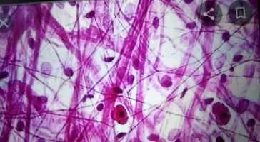 Free download Ix science video and edit with RedcoolMedia movie maker MovieStudio video editor online and AudioStudio audio editor onlin