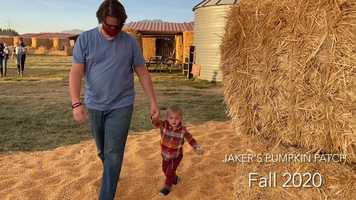 Free download Jakers Fall 2020 video and edit with RedcoolMedia movie maker MovieStudio video editor online and AudioStudio audio editor onlin