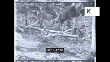 Free download Jamaican Man Eating Breadfruit, from 1967, HD video and edit with RedcoolMedia movie maker MovieStudio video editor online and AudioStudio audio editor onlin