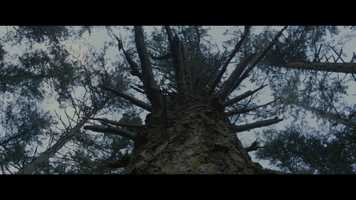 Free download James Wright  Philip Larkin: Two Poems video and edit with RedcoolMedia movie maker MovieStudio video editor online and AudioStudio audio editor onlin