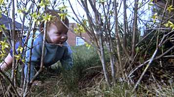 Free download jan-may 1969movie video and edit with RedcoolMedia movie maker MovieStudio video editor online and AudioStudio audio editor onlin