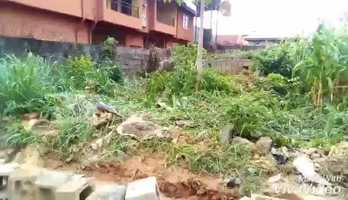 Free download Janty - oluwa please help me video and edit with RedcoolMedia movie maker MovieStudio video editor online and AudioStudio audio editor onlin