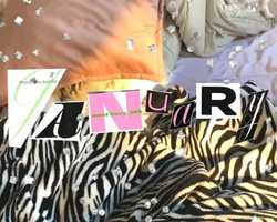 Free download JANUARY 19 video and edit with RedcoolMedia movie maker MovieStudio video editor online and AudioStudio audio editor onlin