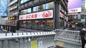 Free download Japan 2019 video and edit with RedcoolMedia movie maker MovieStudio video editor online and AudioStudio audio editor onlin