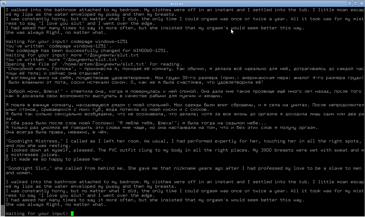 Download web tool or web app Java_console Download web tool or web app Java_console