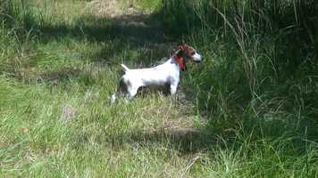 Free download JAY R. Memorial.mp4 video and edit with RedcoolMedia movie maker MovieStudio video editor online and AudioStudio audio editor onlin