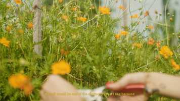 Free download JD Sports x adidas PRIMEGREEN  Kimberly Hoong video and edit with RedcoolMedia movie maker MovieStudio video editor online and AudioStudio audio editor onlin