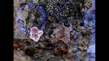 Free download Jefferson Park EXP August 23, 2020. Set 1. florconvenas. video and edit with RedcoolMedia movie maker MovieStudio video editor online and AudioStudio audio editor onlin