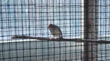 Free download Jemicy Orientation Informational Video video and edit with RedcoolMedia movie maker MovieStudio video editor online and AudioStudio audio editor onlin