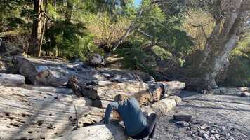 Free download Jess Film video and edit with RedcoolMedia movie maker MovieStudio video editor online and AudioStudio audio editor onlin