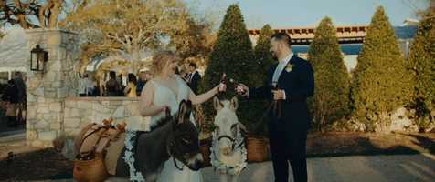 Free download Jill + Jarrett // Highlight Film video and edit with RedcoolMedia movie maker MovieStudio video editor online and AudioStudio audio editor onlin