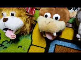 Free download Jill Petrilak video and edit with RedcoolMedia movie maker MovieStudio video editor online and AudioStudio audio editor onlin