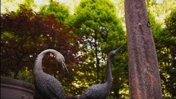 Free download J.J. Dorfman - Film 107: Assignment #7B - Footage from Final Film video and edit with RedcoolMedia movie maker MovieStudio video editor online and AudioStudio audio editor onlin