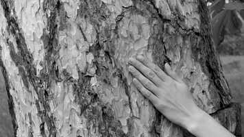 Free download JM_JamaisSeuls video and edit with RedcoolMedia movie maker MovieStudio video editor online and AudioStudio audio editor onlin