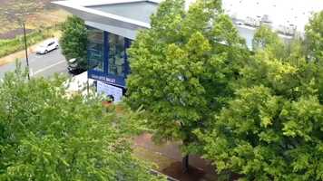 Free download Joedance Film Festival - 2019 recap video and edit with RedcoolMedia movie maker MovieStudio video editor online and AudioStudio audio editor onlin