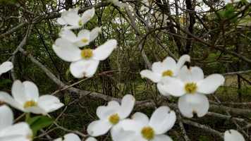 Free download John 14, 6.mov video and edit with RedcoolMedia movie maker MovieStudio video editor online and AudioStudio audio editor onlin